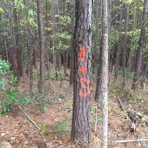 Meet your Posher, Full metal